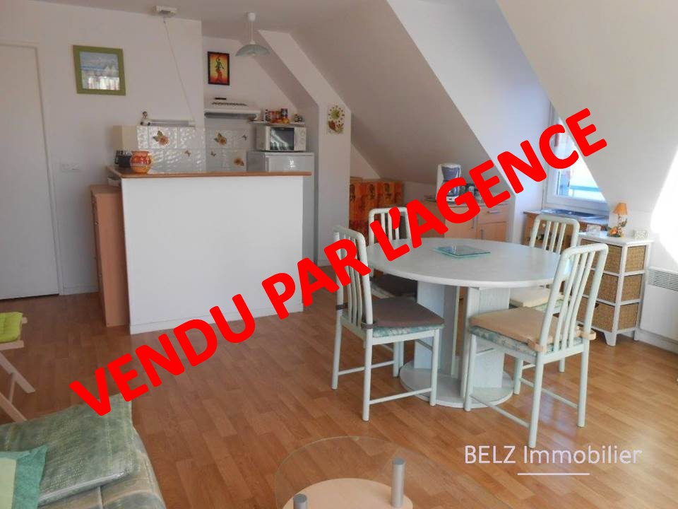 Morbihan SUD BELZ 56550 Appartement 2 pièces 40m² 1 chambre balcon place de staionnement Morbihan SUD BELZ 56550 Appartement 2 pièces 40m² 1 chambre balcon place de staionnement