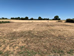 85320 CORPE - Terrain 1