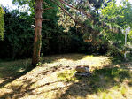 77200 TORCY - Terrain 1