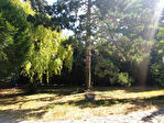 77200 TORCY - Terrain 2