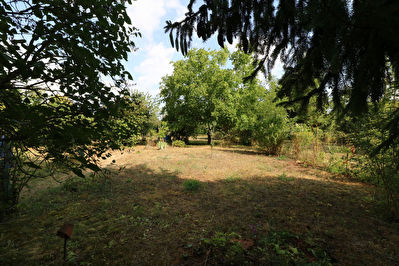 Berry au Bac : Terrain avec verger et potager - 1065m2 env