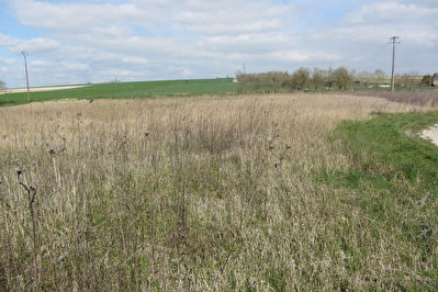 SUPERBE TERRAIN de 2930m2