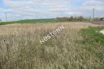 08190 ASFELD - Terrain 3