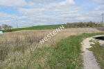 08190 ASFELD - Terrain 1