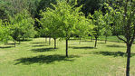 51100 GUYENCOURT - Terrain 2