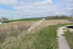 08190 ASFELD - Terrain 2