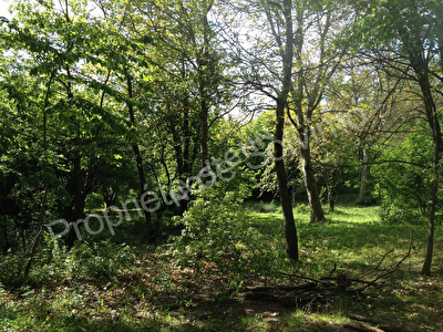 Terrain a vendre