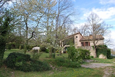 Maison a vendre 3000 m2 terrain 10 pieces