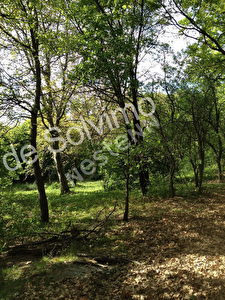 Terrain a vendre 2800 m2 prox. Sisteron