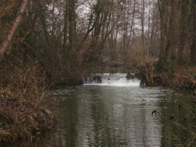 Superbe Terrain avec etang - Vallee de la Somme