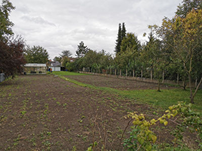 Terrain Corbie