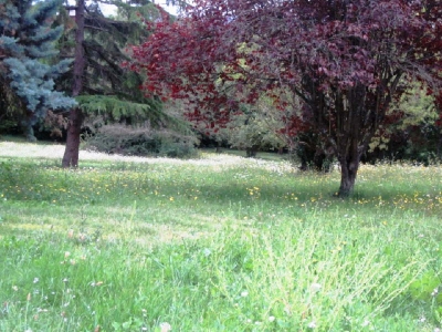 TOULOUSAINE GOYRANS - 8 pieces - 252 m2