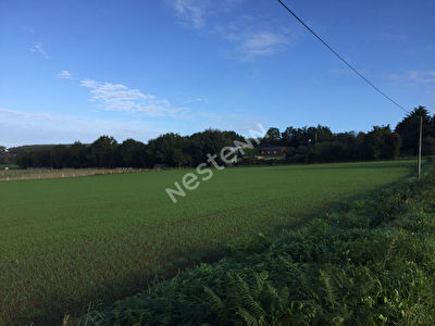 Terrain Saint-guyomard Serent 8000 m2