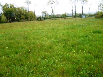 Terrain campagne d'Elven!