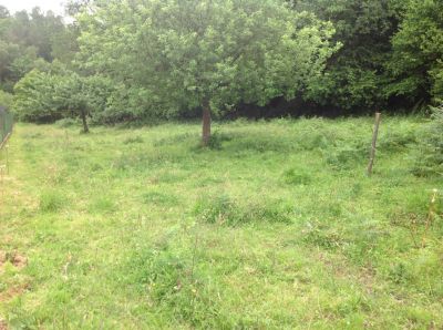 Terrain Saint Guyomard 9330 m2
