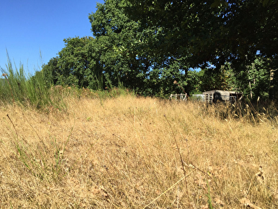 Terrain de 1.1 ha, 20 min de Vannes