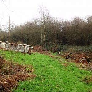 Terrain boise non constructible 1.8 ha