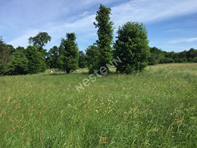 Terrain Saint Guyomard 1400 m2