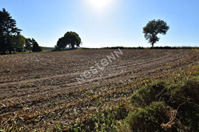 Terrain Serent 2000 m2 environ