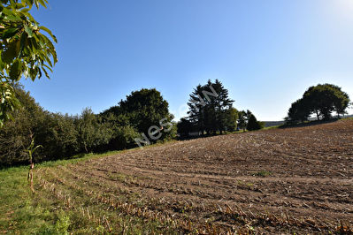 Terrain Serent 1900 m2