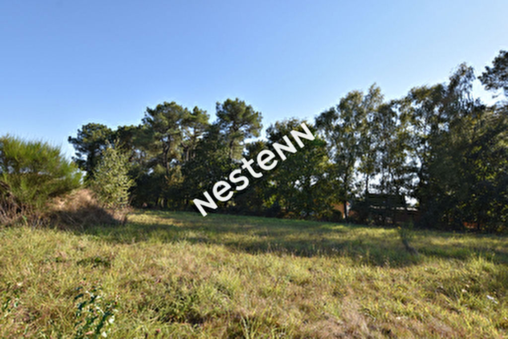 Terrain de 4000 m2 Serent