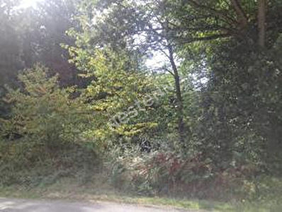 Terrain Constructible campagne Elven 930 m2 environ