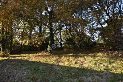 Terrain campagne Elven 900 m2 environ