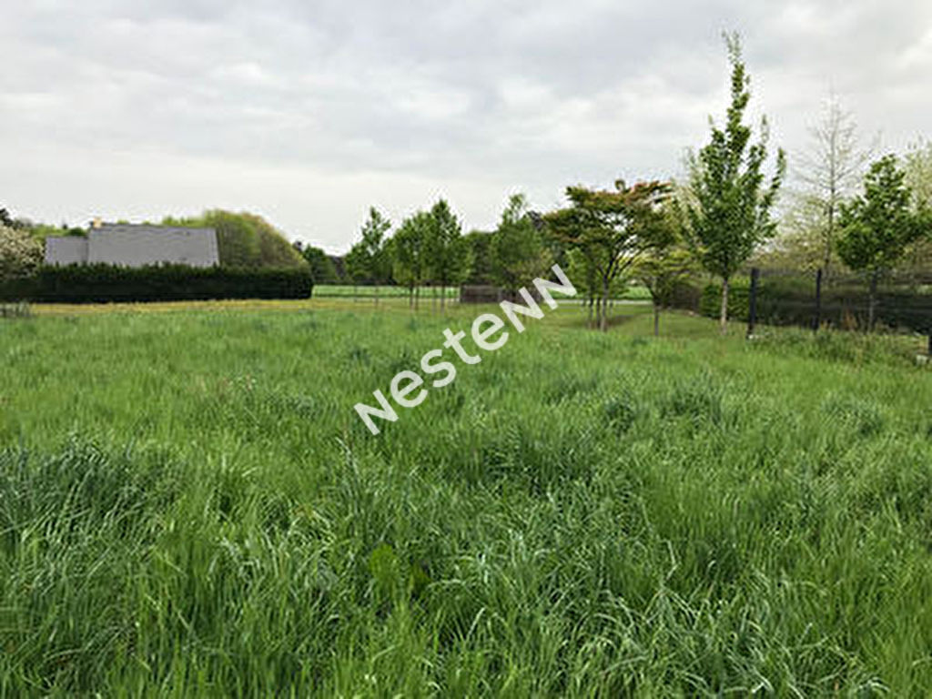 Terrain Serent constructible de plus de 1300m2