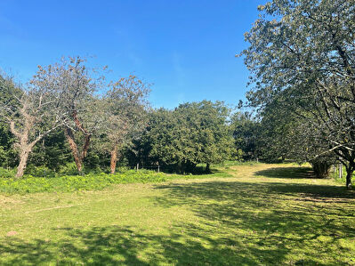Terrain Constructible Serent 1490 m2
