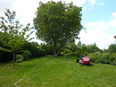 Terrain OSNY 458M2