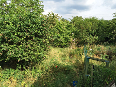 Terrain Frepillon 550 m2