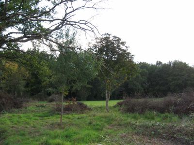 JUIGNE SUR LOIRE - 612 m2