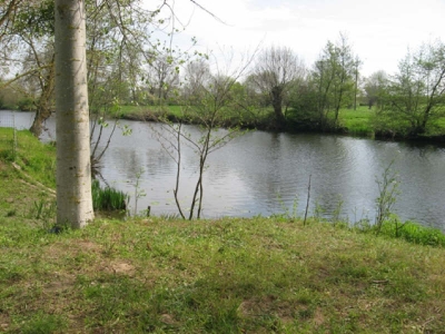 TERRAIN DE LOISIRS/PECHE ARGENTON L EGLISE - 708 m2