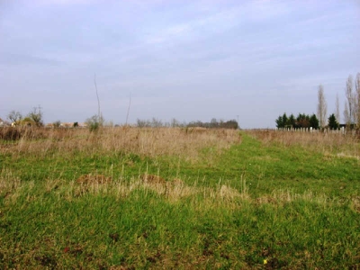 TERRAIN BOUILLE LORETZ - 1030 m2