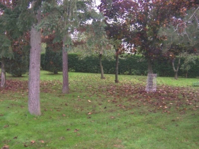 TERRAIN A BATIR JUIGNE SUR LOIRE - 1500 m2