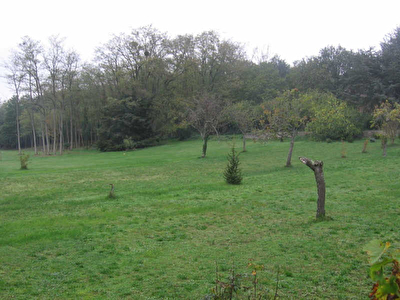 Constructible CHENONCEAUX - 1120 m2