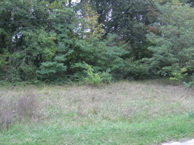 Constructible CHENONCEAUX - 1561 m2