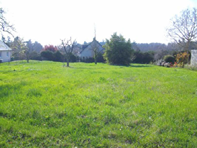 TERRAIN A BATIR CHENONCEAUX - 1194 m2