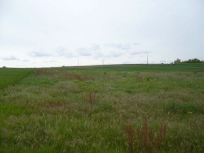 TERRAIN A BATIR MOSNES - 1174 m2