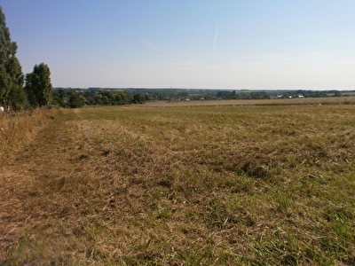 Terrain La Croix En Touraine 594 m2