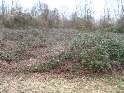 TERRAIN AGRICOLE VERETZ - 1752 m2