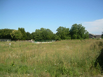 TERRAIN A BATIR AVOINE - 2566 m2