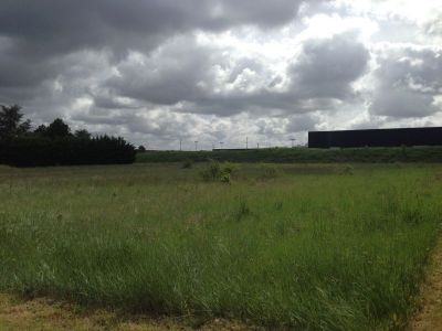 Terrain Chinon 1560 m2