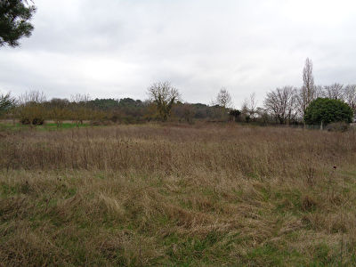 Terrain Chinon 3910 m2