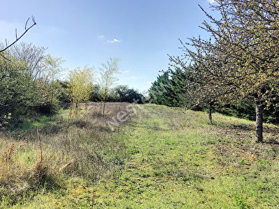 CHINON Terrain loisirs de 2100m2 avec grande cave