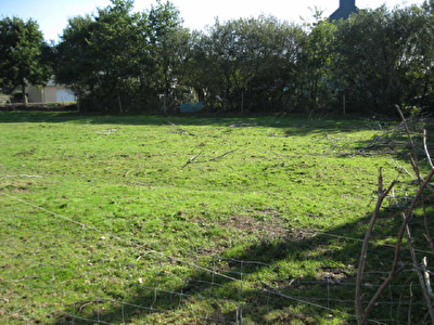 SENE - 503,00 m2