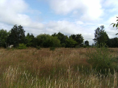 Terrain constructible MONTERBLANC - 1000,00 m2