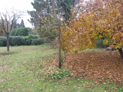 Terrain constructible BADEN - 800,00 m2