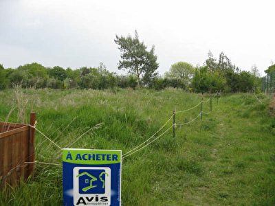 Terrain constructible SENE - 540,00 m2