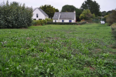 Terrain constructible ARZON -528,00 m2